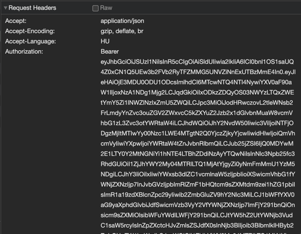 auth_bearer.png
